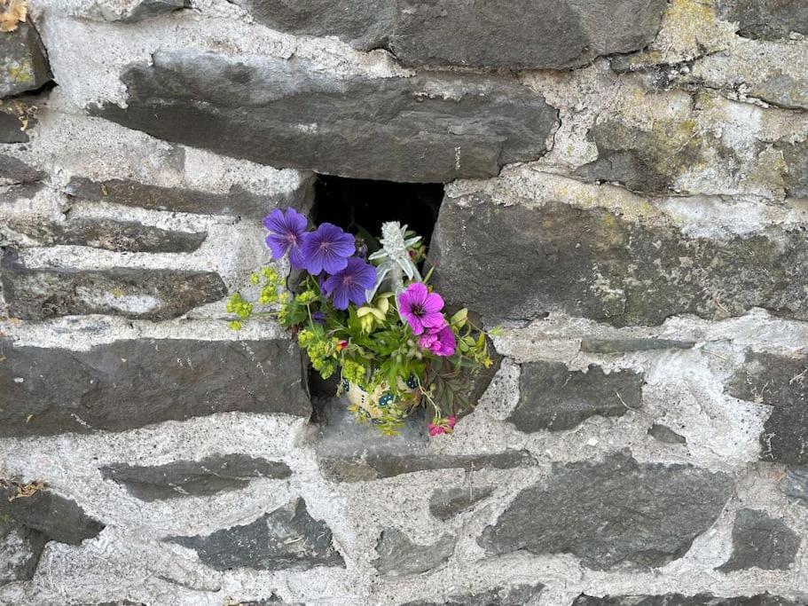 Castle Buildings Cottage1 Holiday home *